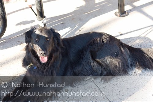 Grand_Avenue_2008-08-24_IMG_1516